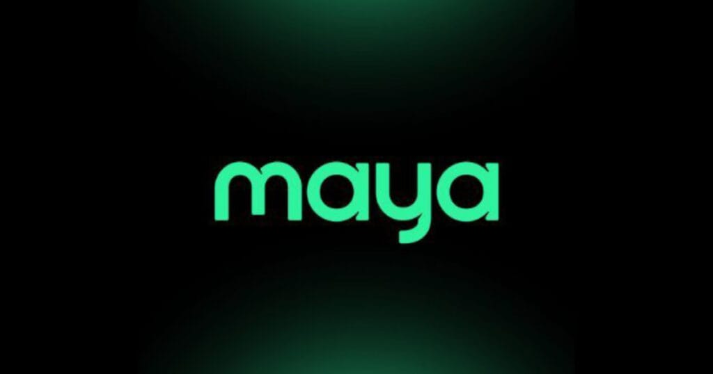 2Win Play Casino Popular Payment Methods: Maya